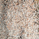 Image for article titled New species of eyeless shrimp discovered swarming the deepest volcanic vents on Earth